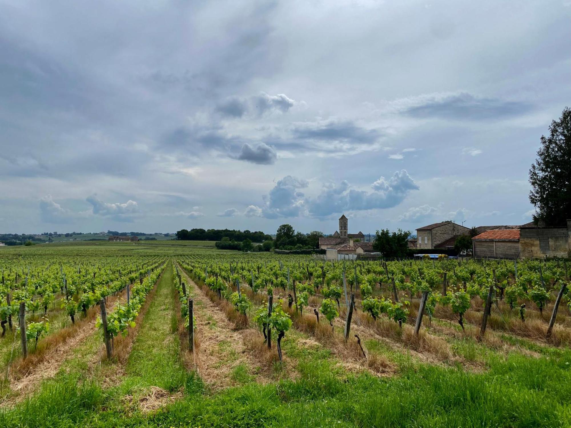 Aux Ducs De Sienne Montagne (Gironde) Exterior foto