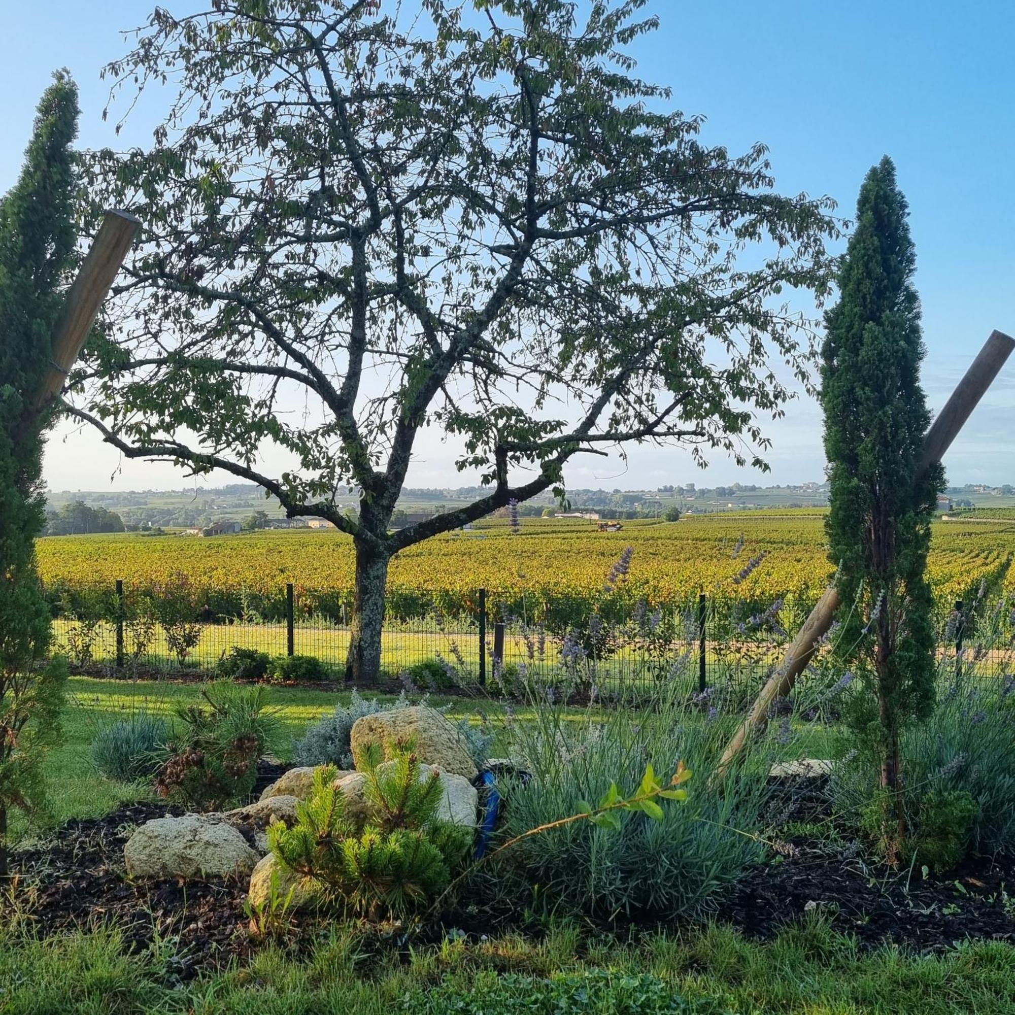 Aux Ducs De Sienne Montagne (Gironde) Exterior foto