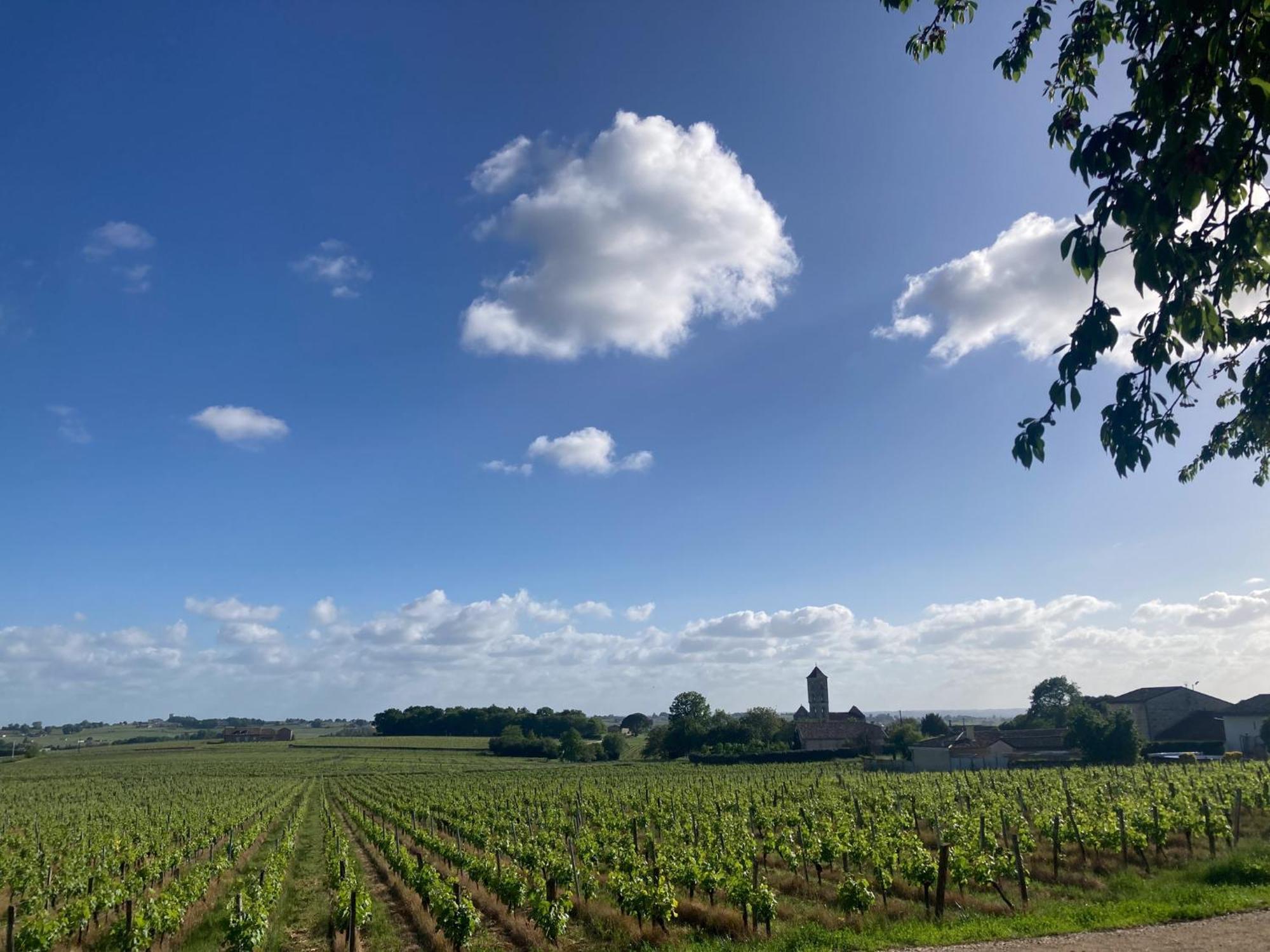 Aux Ducs De Sienne Montagne (Gironde) Exterior foto